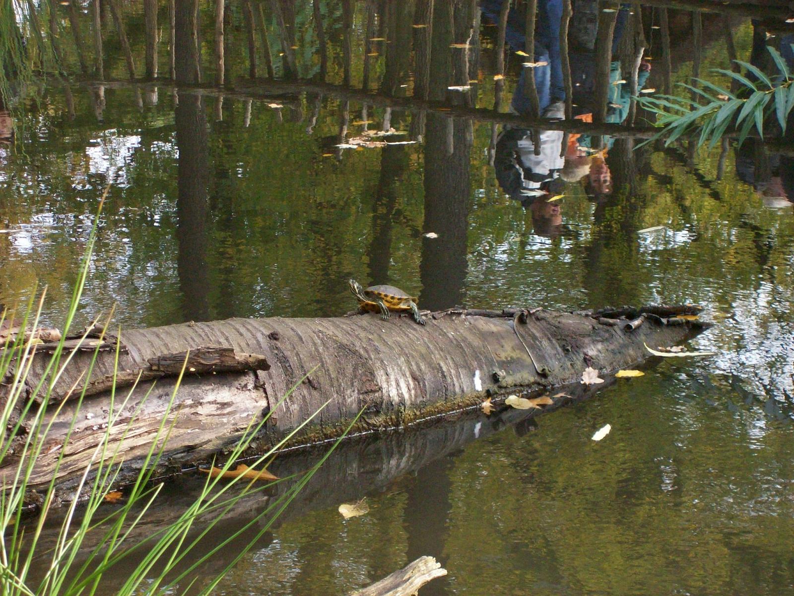 Zoom 18.10.2008-017.jpg